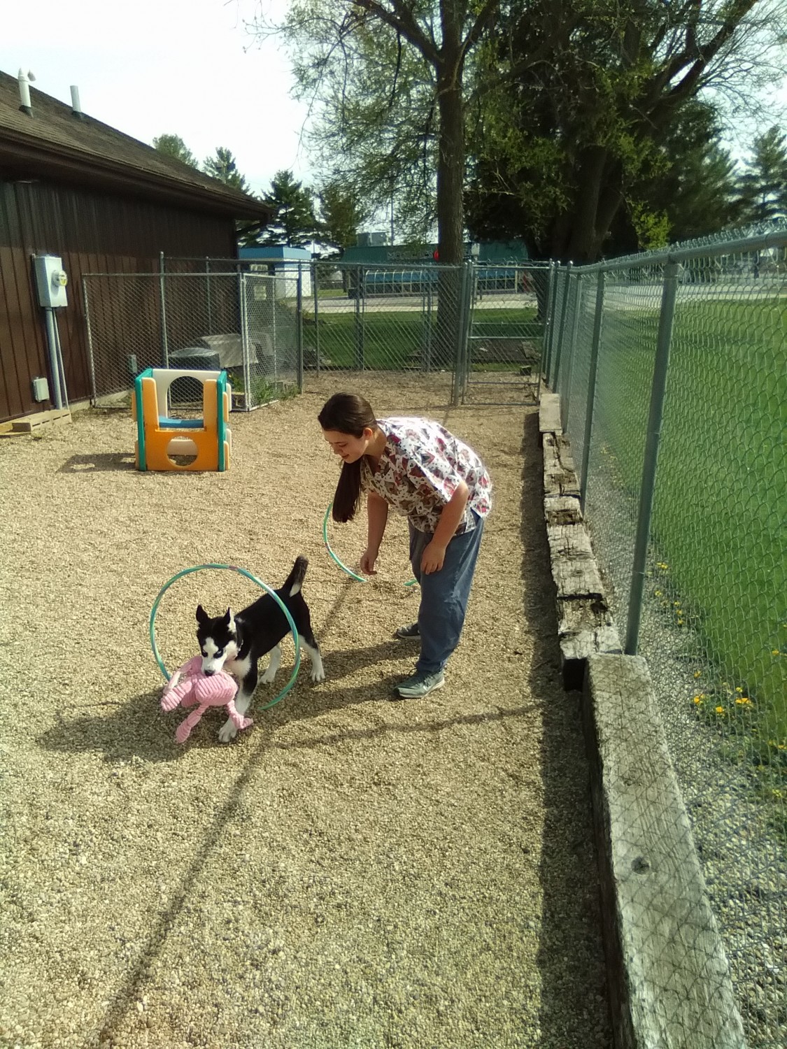 Kennels Tour Our Clinic AHCC Arcola Arcola, IL